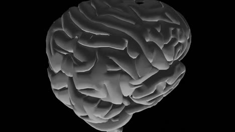 animación en 3d del cerebro humano