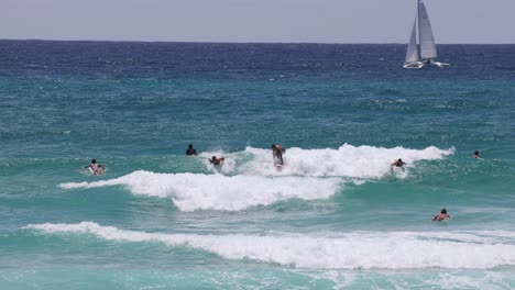 multiple surfers catching waves, sailboats in background