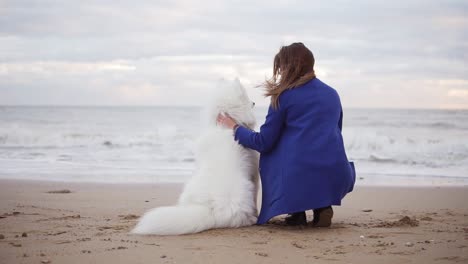 back view of a white samoyed and young woman sitting together on the sand by the sea. white fluffy pet on the beach looking at