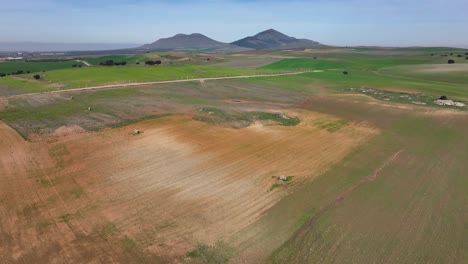 Flight-over-green-pine-forest-cut-by-a-dirt-road-that-borders-large-expanses-of-farmland-in-greens-and-yellows-and-in-the-background-two-beautiful-hills-with-blue-sky-in-Toledo-Spain