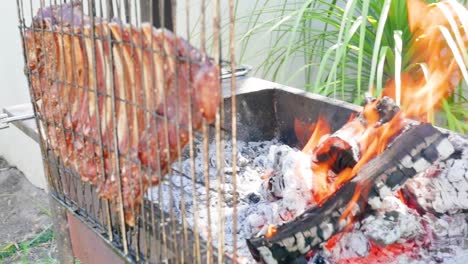 lamb's rib on the side of the fire, south african style - this is only a starter..