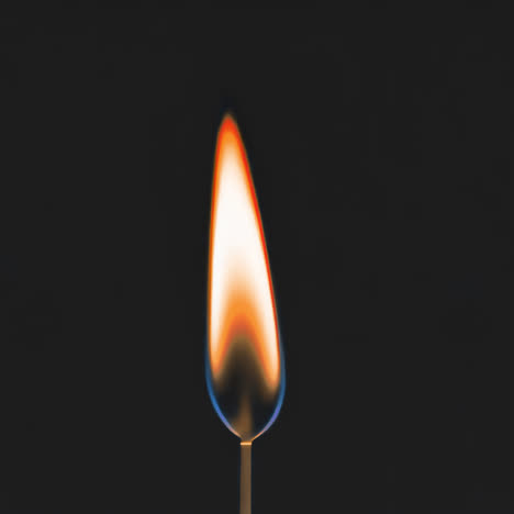 burning flame animated overlay, transparent 4k video, alpha channel, prores 4444