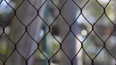 blurred view through a zoo fence