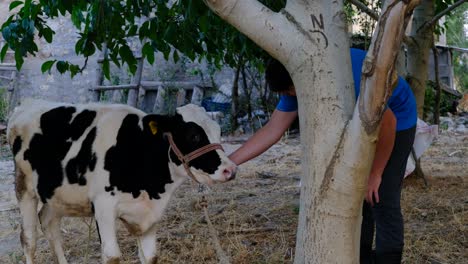 calf-loving young man