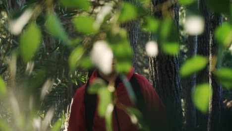 teacher walking in the forest 4k