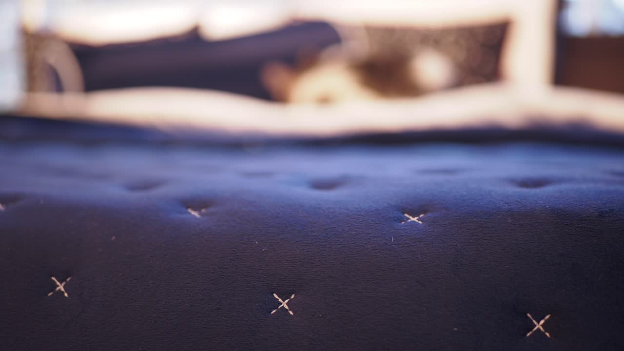 네이비 블루 트 된 침대 개의 클로즈업