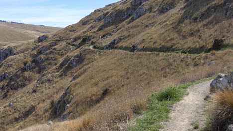 walking track cuts across hillside of extinct volcano - godley head loop track, banks peninsula