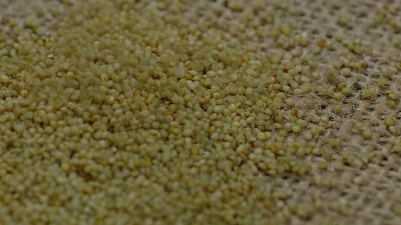 brown top millet grains falling on textured jute cloth, 4k stable shot