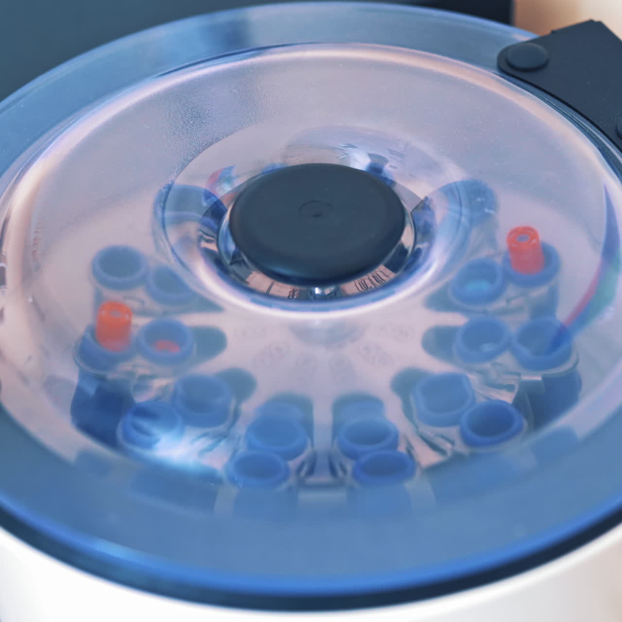 Female scientist loads some vials of liquid into a centrifuge in a laboratory. Close-up hands in protective gloves of a female placing blood samples in the special machine and switches it on.