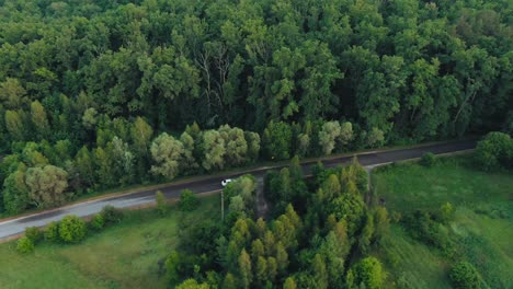 aerial view of a car driving through a forest on a country road