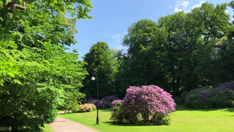 Schöner-Tag-In-Einem-Naturpark