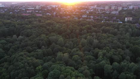 parque de la ciudad en kaunas, lituania