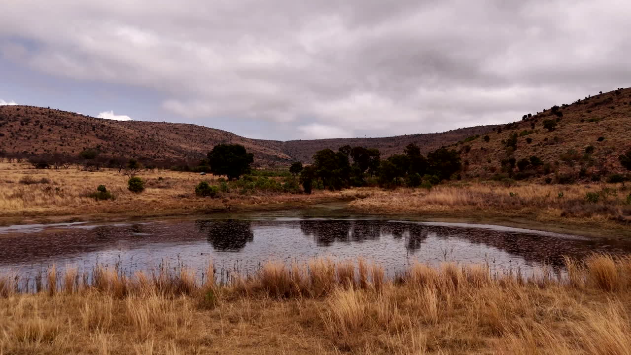 drones de baixo nível sob a parede da barragem, capturando a bela natureza, a vida das aves e a paisagem exuberante em um dia nublado com espessa cobertura de nuvens no deserto