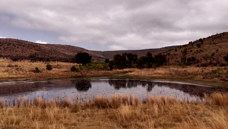 drone low-level flyover from beneath the dam wall, capturing beautiful nature, birdlife, and lush scenery on an overcast day with thick cloud cover in the wilderness