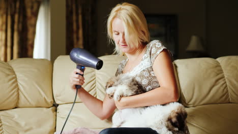 la mujer seca un cachorro con un secador de pelo