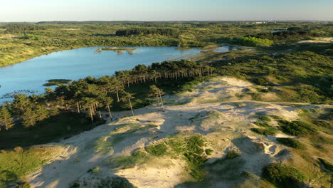 hermosa muñeca del parque nacional kennemerland los países bajos