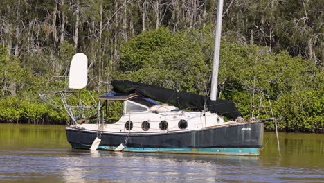 stationary sailboat floats on tranquil river, surrounded by lush greenery, under bright natural daylight