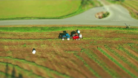 Vivid-colors-of-harvest