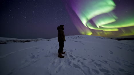 person gazing at the northern lights