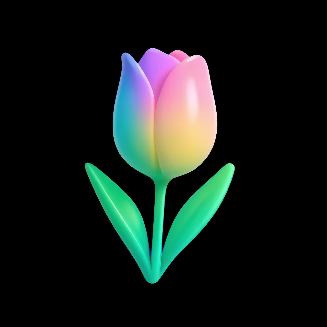 Vibrant gradient tulip illustration animation isolated asset, transparent 4K video, alpha channel