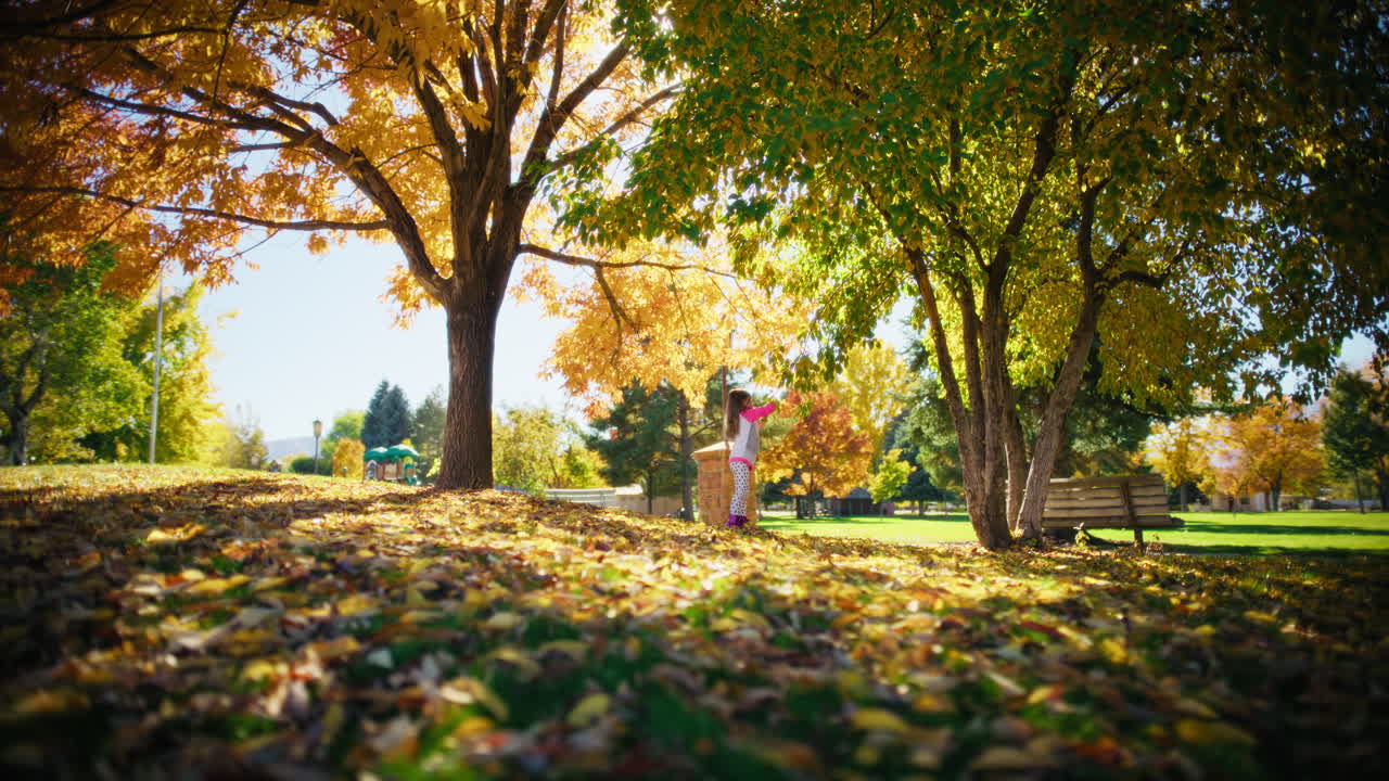 A child in a park enjoying autumn foliage
