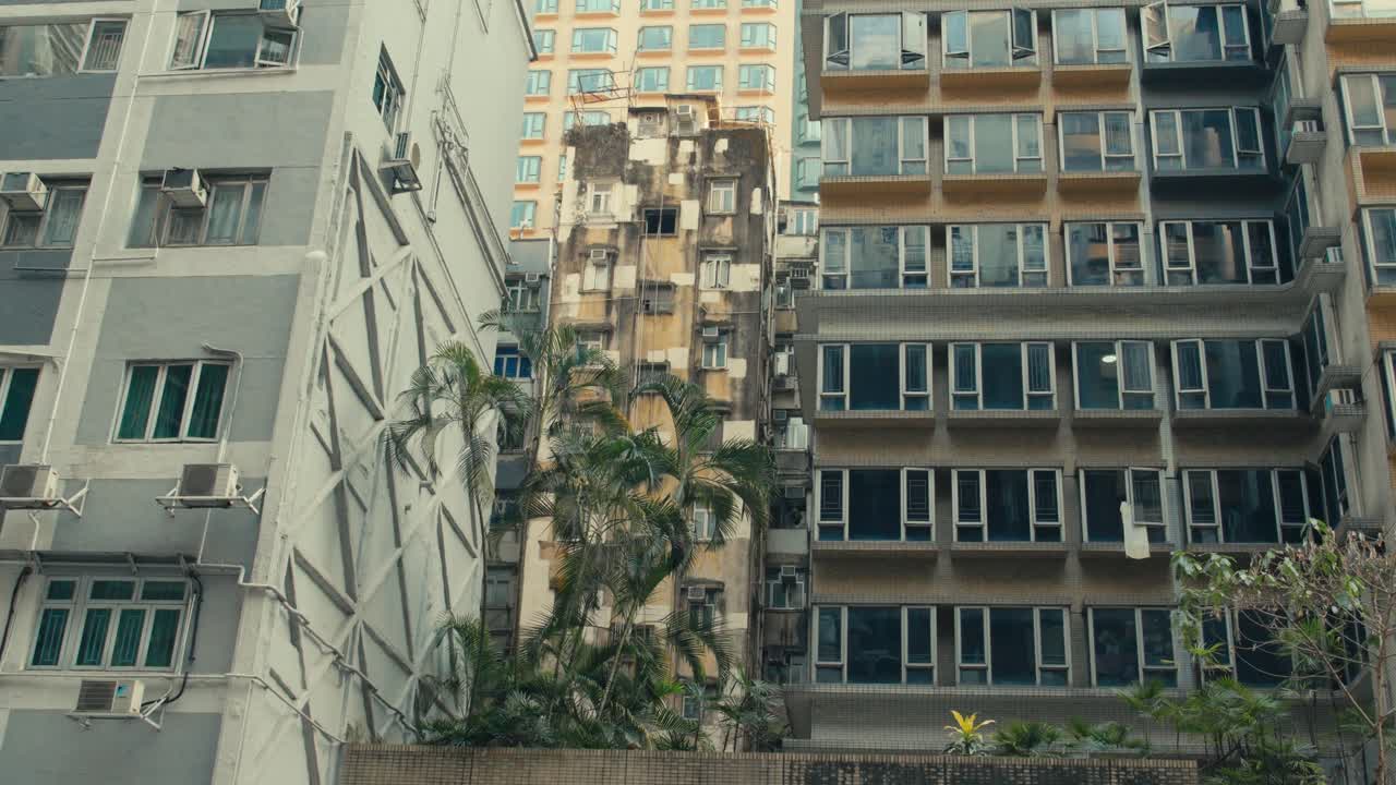Edifícios Residenciais Aglomerados de Hong Kong com Palmeiras e Fachadas Desgastadas