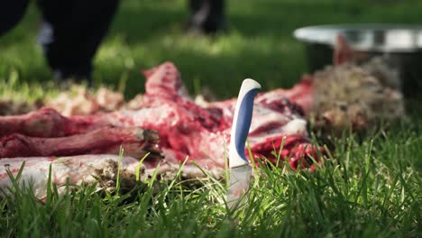 Middle-eastern,-Muslim-men-stand-next-to-sheep-carcass-and-knife-stuck-in-ground-being-used-to-skin-sheep-in-preparation-of-Ramadan,-Eid-al-Adha-or-Eid-al-Fitr-in-cinematic-slow-motion