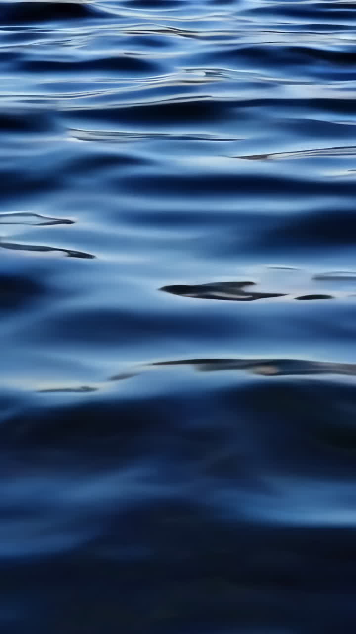 Rippled Water Surface