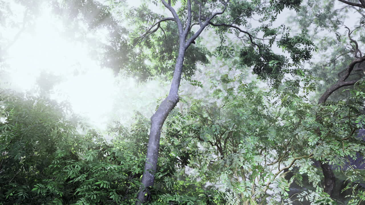 Lush trees and vibrant greenery under soft sunlight in a tranquil forest