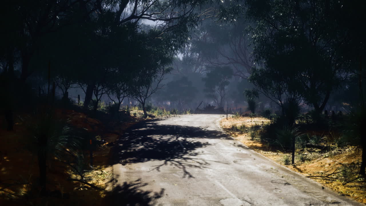 Lone winding road through an enchanting forest under soft morning light