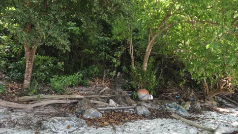 sequence showing gradual beach cleaning process