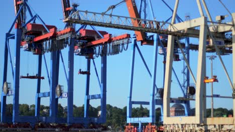 a row of giant container cranes at an industrial harbor with a smaller crane in the foreground and a clear blue sky in the background