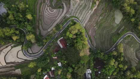 Hermosa-Vista-Aérea-Del-País-Tropical-De-Indonesia,-Caminos-Sinuosos-Bordeados-De-Bosques,-Campos-De-Arroz-O-Pueblos