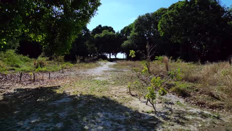 Beste-Luftaufnahme-Flug-Drohne-Eines-Abgelegenen-Strandresorts-Weg-Eingebettet-In-Einen-Lebendigen-Grünen-Wald,-Präsentiert-Ein-Ruhiges-Urlaubsziel