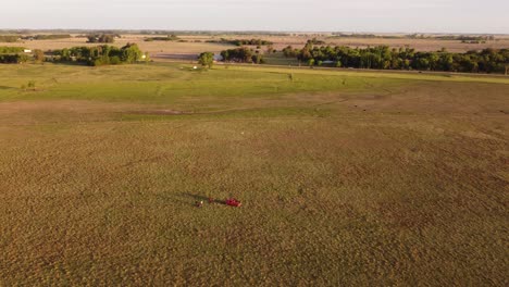 drone-flight-over-a-large-green-meadow-at-sunset
