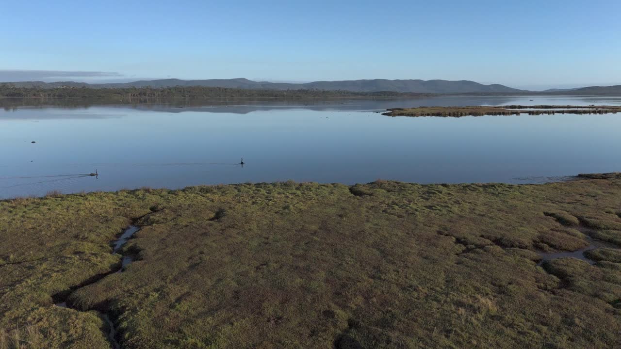 Drone shot showing idyllic wetland Reserve in Tasmania during foggy sunrise