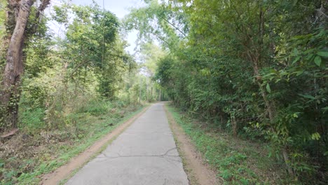 walking pov forest jungle hiking trail cat tien national park vietnam nature