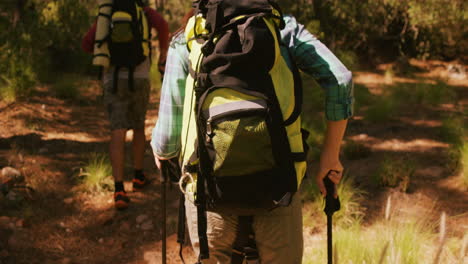 una pareja está caminando por el bosque.