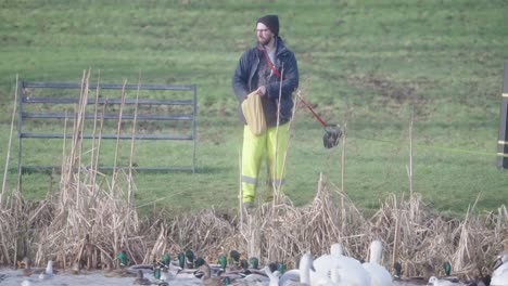 slow motion scenery, wildlife, adult male, leisurely afternoon, bird food