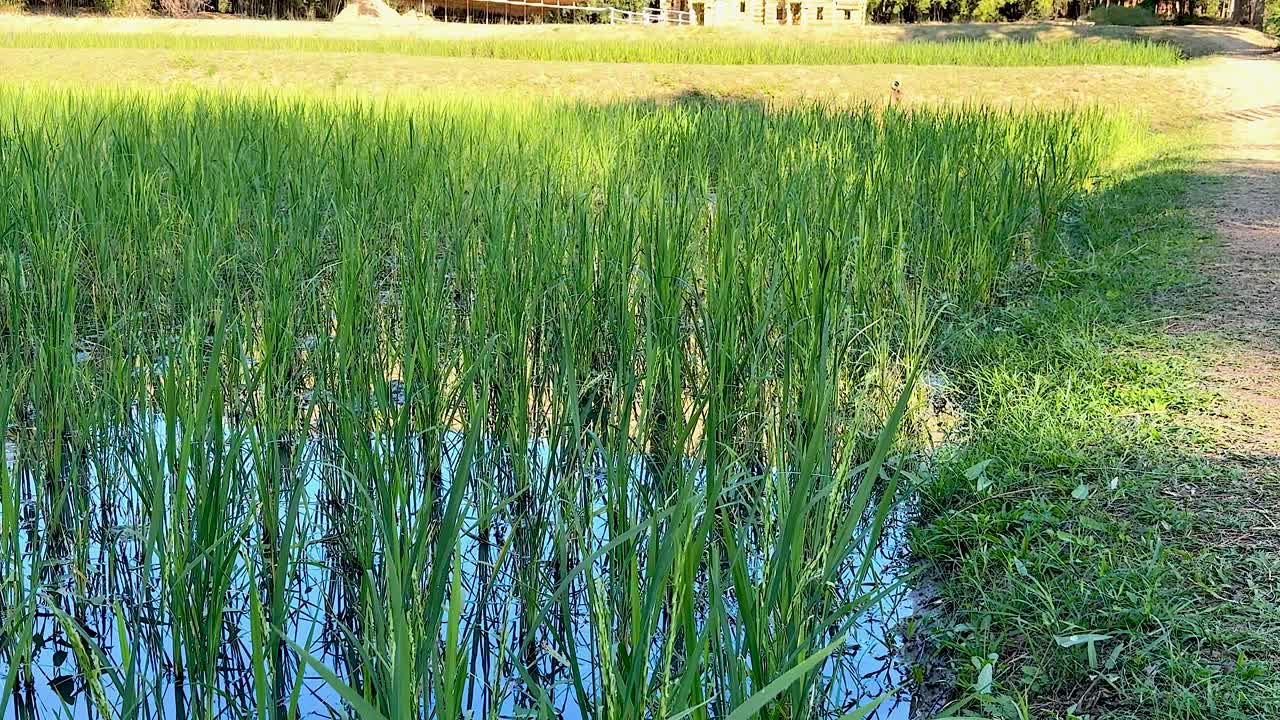 과 집 의 경치 가 아름답다