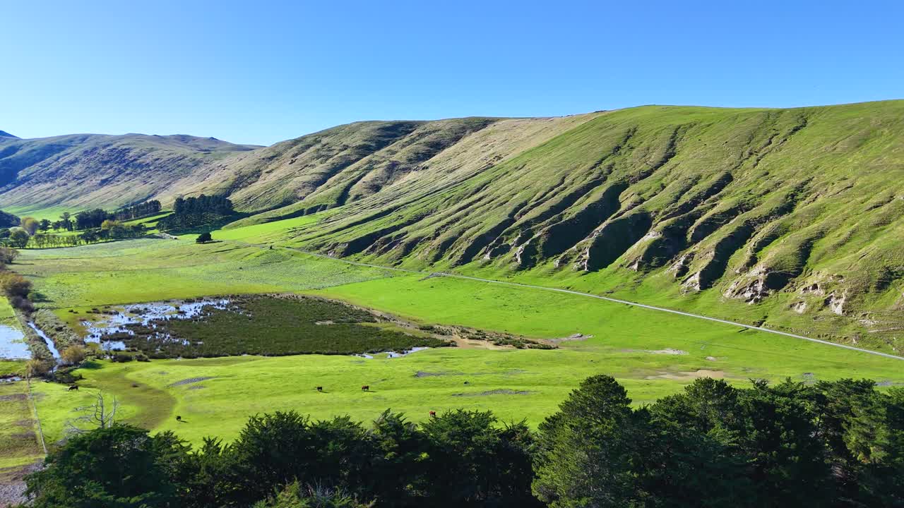 Aerial view of lush green hills and valleys under clear blue skies in Akaroa, New Zealand. Captured in bright daylight