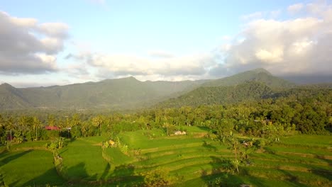 beautiful aerial footage of the hill and rice fields in bali