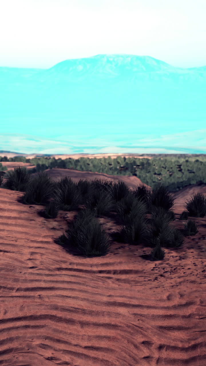 풀과 모래 언덕이 있는 사막 풍경