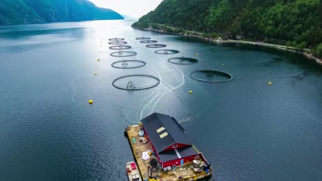 aerial footage farm salmon fishing in norway