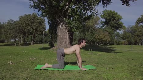 beautiful yoga instructor is doing yoga exercises in nature stretching body on floor concentrated on practice