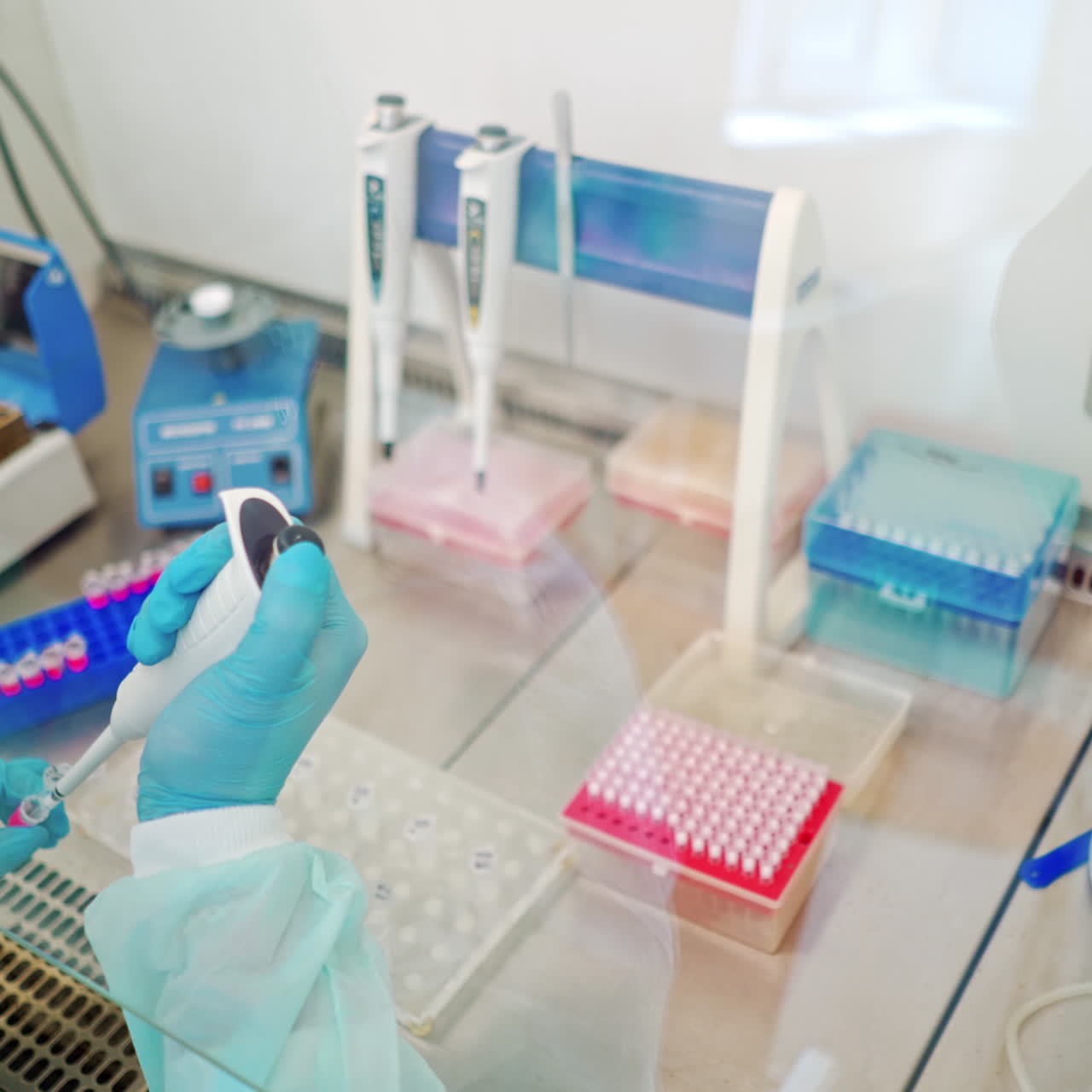 Close-up work of medical scientist with test tubes on sterile table. Hands in protective gloves of female assistant working with plastic vials in the laboratory.