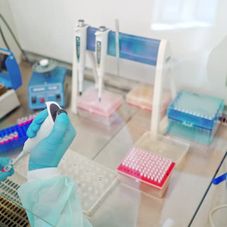 close-up work of medical scientist with test tubes on sterile table. hands in protective gloves of female assistant working with plastic vials in the laboratory.