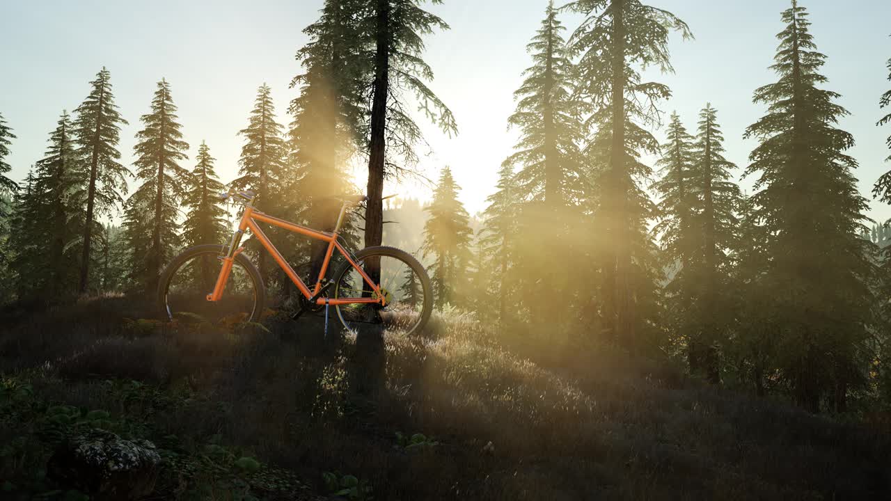bicicleta en el bosque de montaña