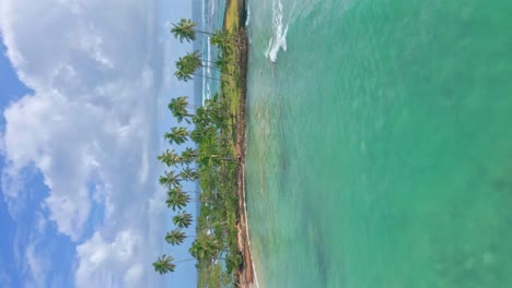 Vertical-Shot-Of-Playa-Los-Coquitos-With-Turquoise-Ocean-And-Palm-Trees-On-Shore-In-Dominican-Republic---drone-shot