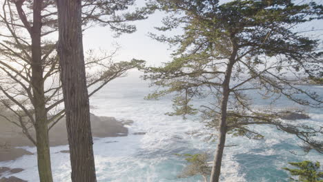 schwenkaufnahme von bäumen mit wellen, die durch den pazifischen ozean im hintergrund in big sur, kalifornien, usa, rollen